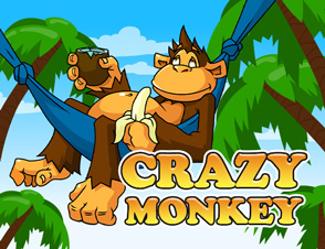 Crazy-Monkey.jpg